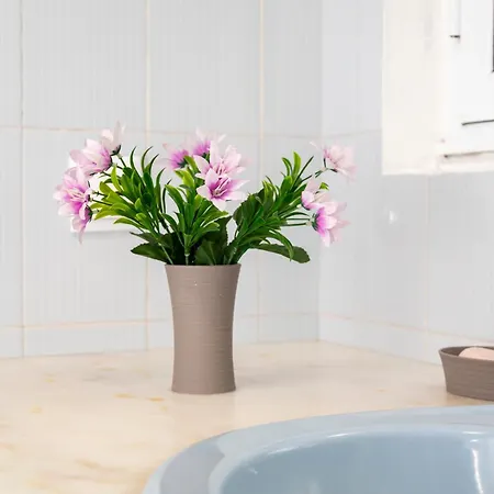 בית נופש Cedars Tree House Arrifes