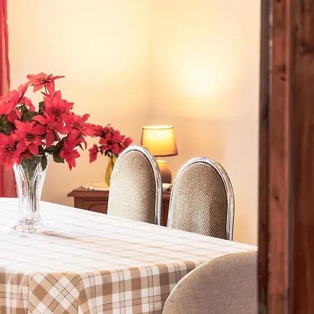 Cedars Tree House 別荘