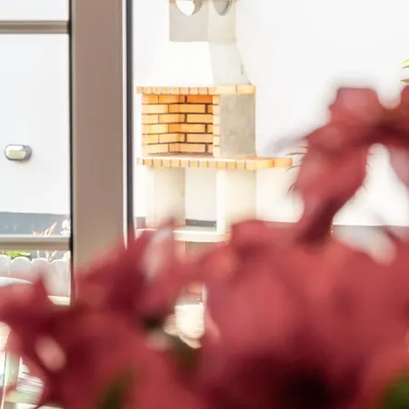 Cedars Tree House * Arrifes