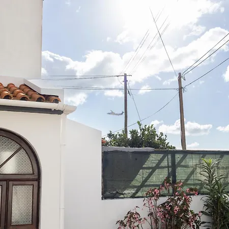 Cedars Tree House 別荘 *