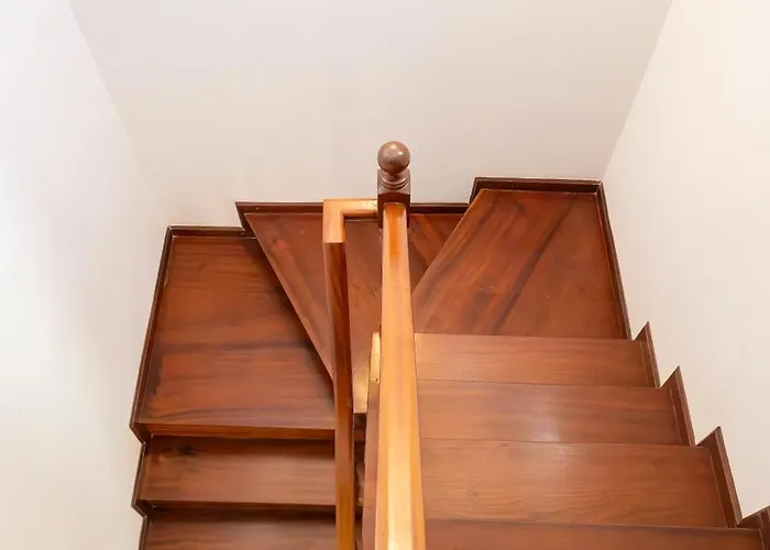 Cedars Tree House בית נופש *