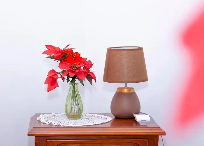 Cedars Tree House Arrifes