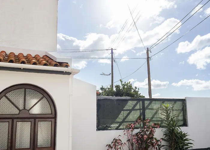 Cedars Tree House בית נופש *